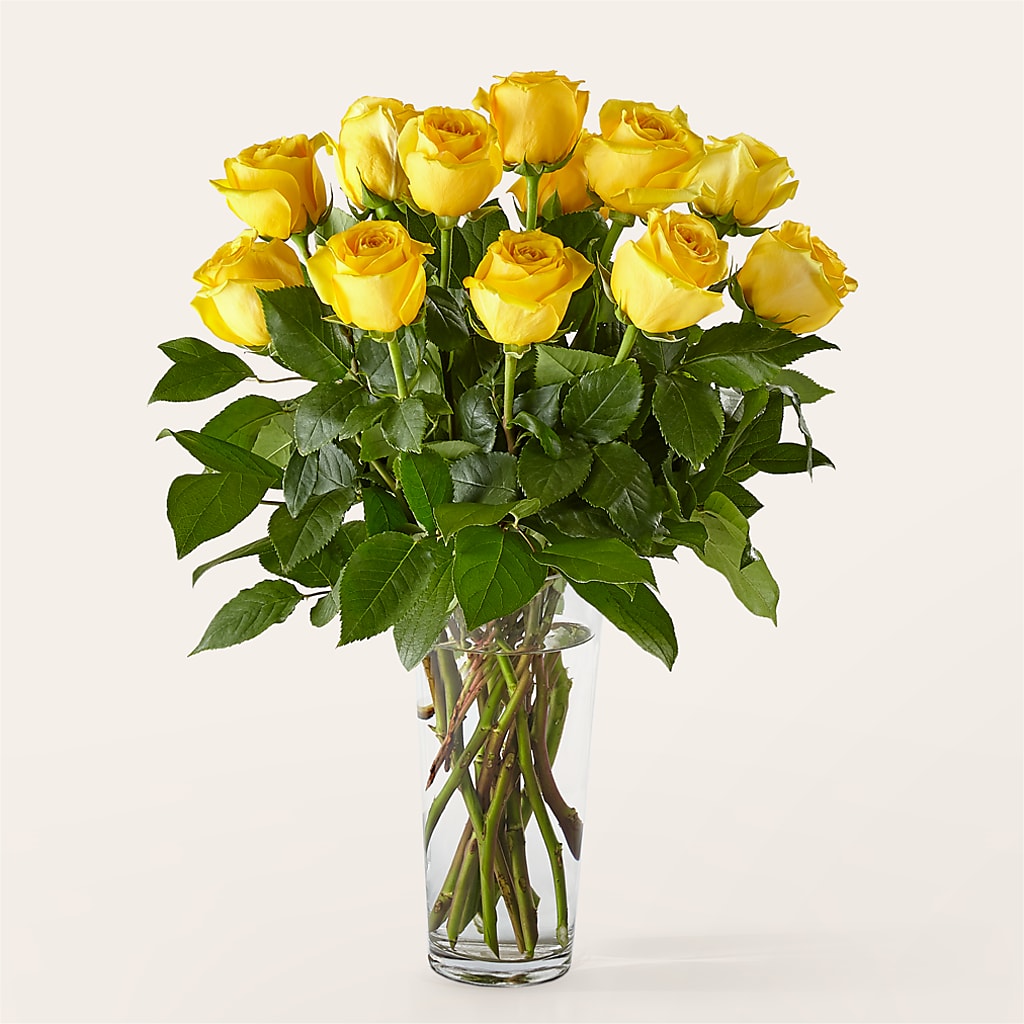 Long Stem Yellow Rose Bouquet – What A Flowers, Lawrenceville GA
