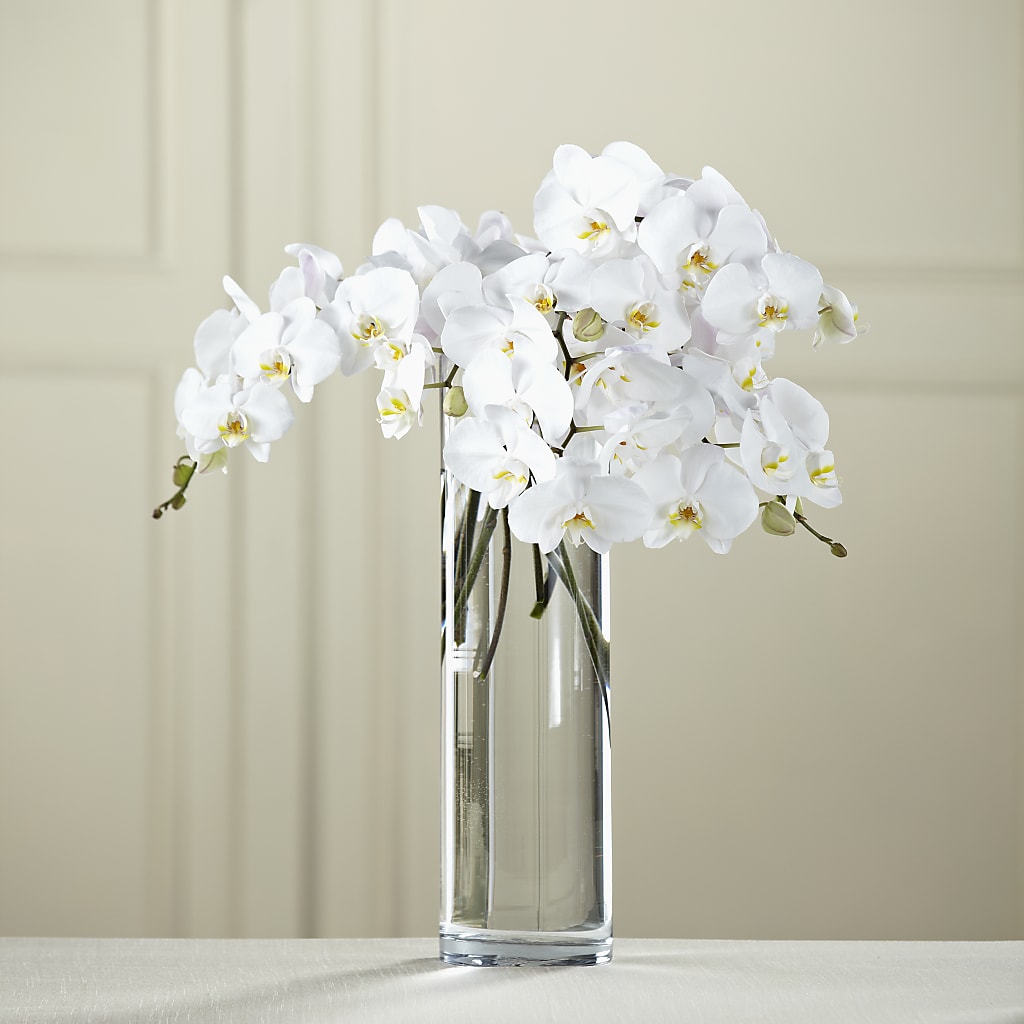 White Phalaenopsis Bouquet – What A Flowers, Lawrenceville GA