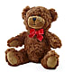 Adorable Plush Bear –  What A Flowers, Lawrenceville GA