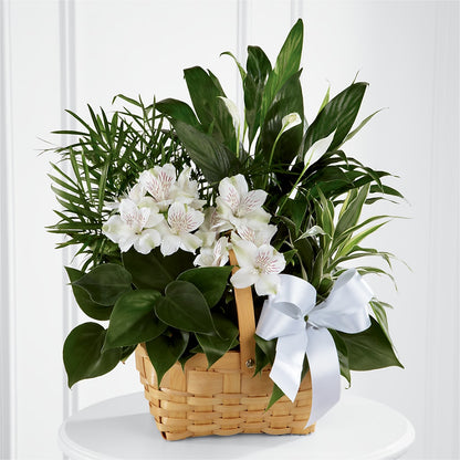 Peace & Serenity Dishgarden –  What A Flowers, Lawrenceville GA