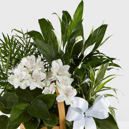 Peace & Serenity Dishgarden –  What A Flowers, Lawrenceville GA