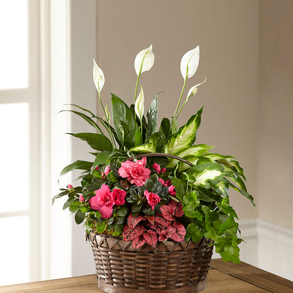 Dream in Pink Dishgarden –  What A Flowers, Lawrenceville GA