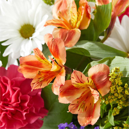 Oopsie Daisy Box Bouquet –  What A Flowers, Lawrenceville GA