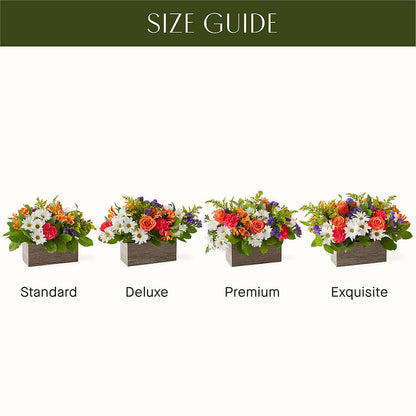 Oopsie Daisy Box Bouquet –  What A Flowers, Lawrenceville GA
