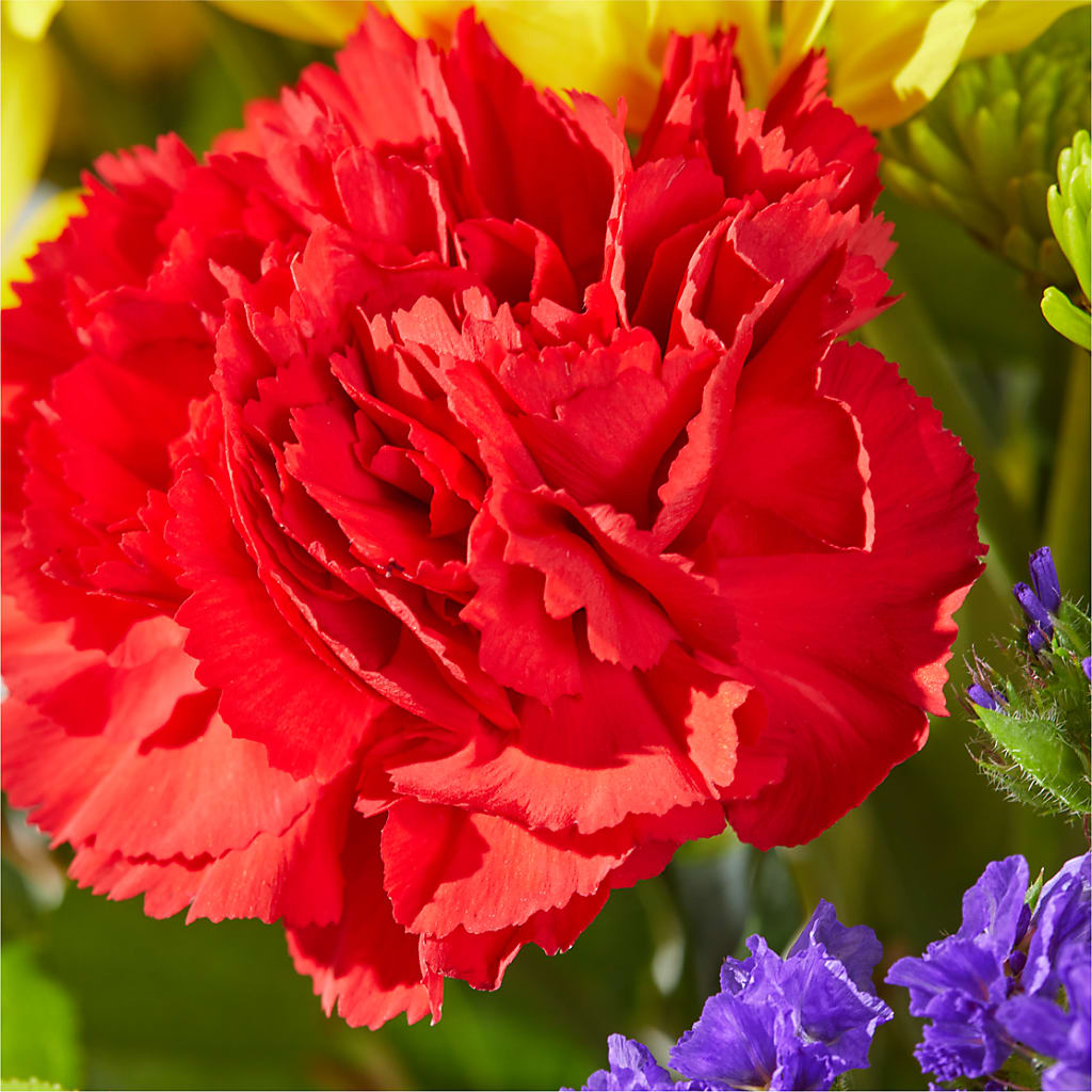 Brighter Days Bouquet –  What A Flowers, Lawrenceville GA