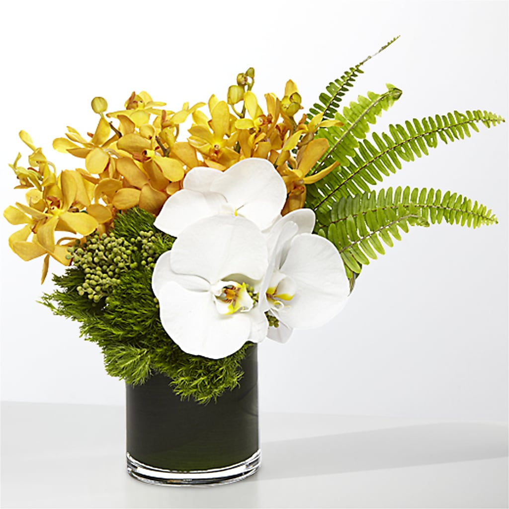 The Tropics –  What A Flowers, Lawrenceville GA