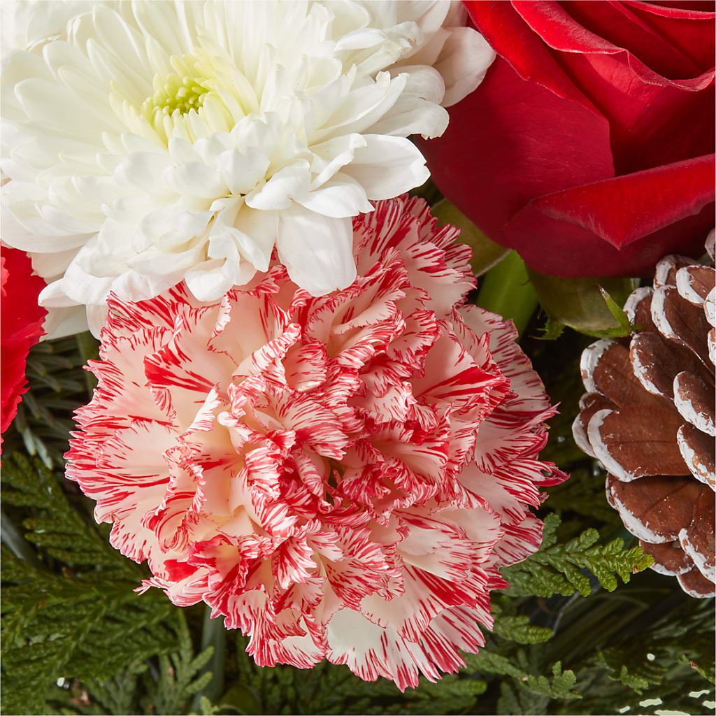 Candy Cane Lane Bouquet –  What A Flowers, Lawrenceville GA