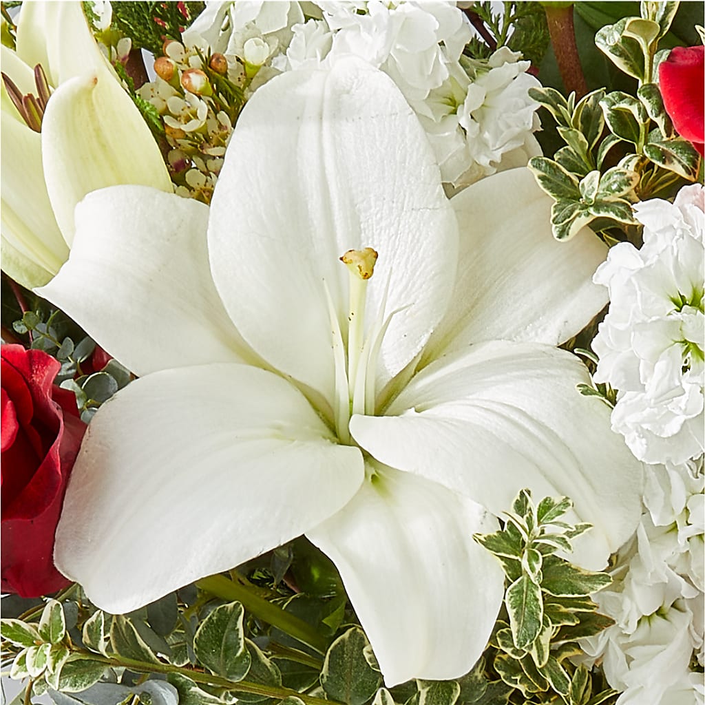 Twinkle Lights Bouquet –  What A Flowers, Lawrenceville GA