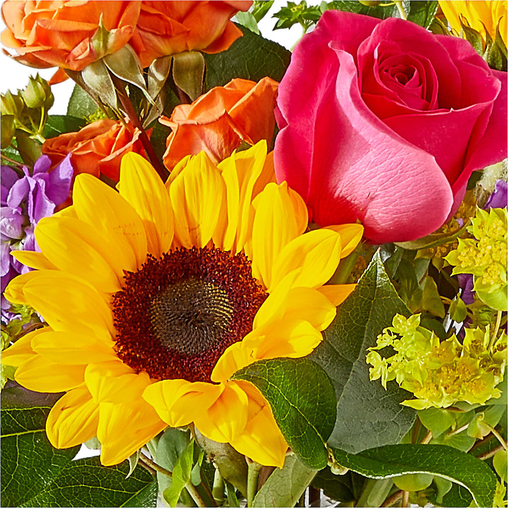 Vibrant Greetings Bouquet –  What A Flowers, Lawrenceville GA