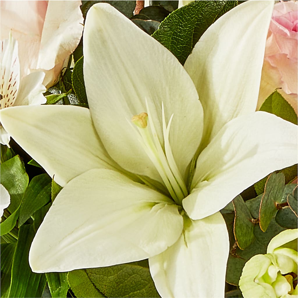 Ballet Slippers Bouquet –  What A Flowers, Lawrenceville GA