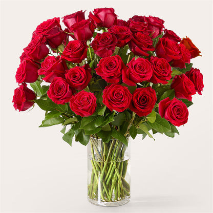 The One Red Rose Bouquet –  What A Flowers, Lawrenceville GA