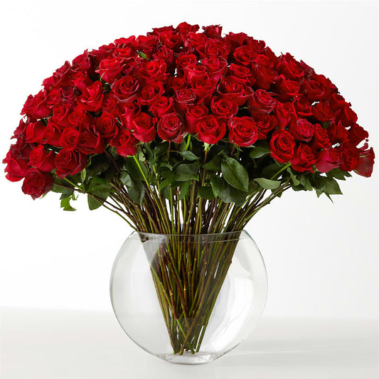 The Idealist –  What A Flowers, Lawrenceville GA