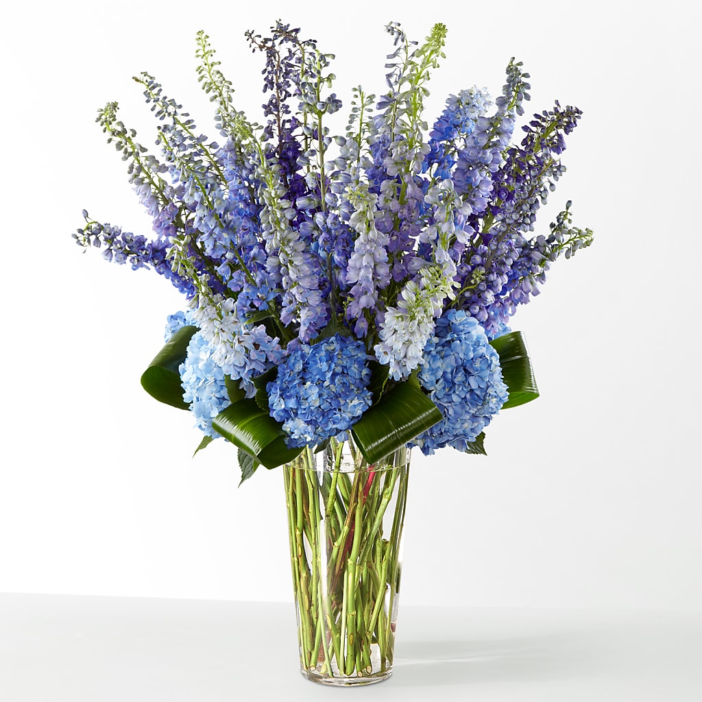 The Editorial –  What A Flowers, Lawrenceville GA