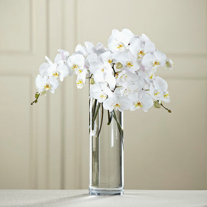 White Phalaenopsis Bouquet –  What A Flowers, Lawrenceville GA